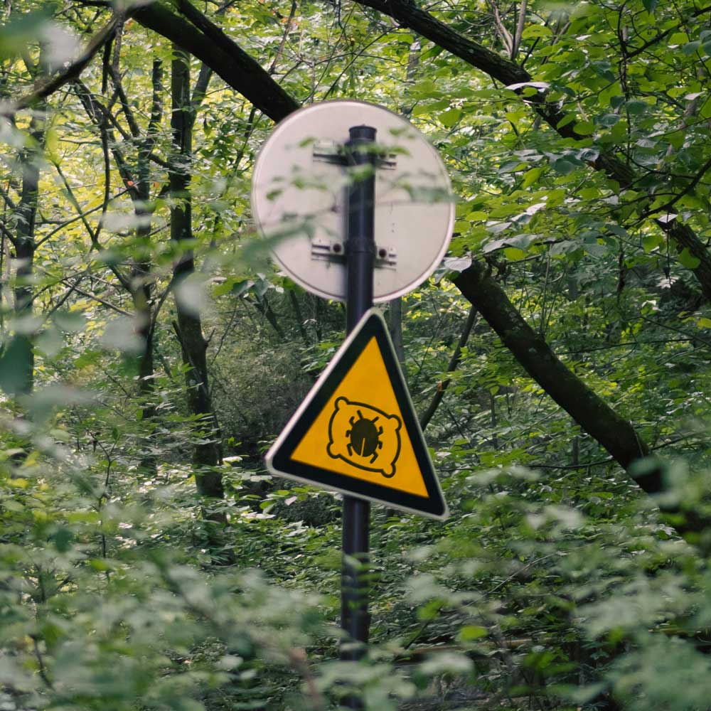 Gelbes Dreieckiges Warnschild im Wald mit einem Kissen darauf eine Käfer Piktogramm.