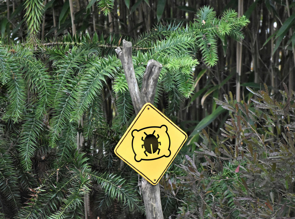 Gelbes Dreieckiges Warnschild im Jungel mit einem Kissen darauf eine Käfer Piktogramm.