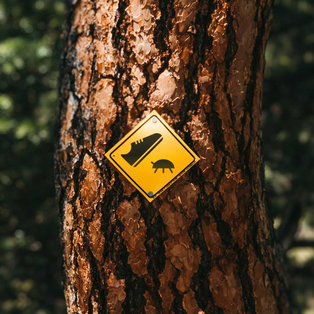 Gelbes Rauten Warnschild an einem Baum mit einem Schuh der einen Käfer zerdrückt, Piktogramm.